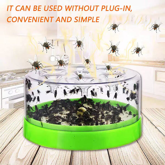 🏠🌿✨Nowa pułapka na muchy – 50% ZNIŻKI! OFERTA LIMITOWANA!