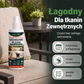 🧴 Spray do usuwania pleśni z poduszek tarasowych – działa błyskawicznie i bez szorowania! 🌿✨