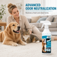 🐾 Spray do usuwania plam i zapachów dla zwierząt, do dywanów, tapicerki i podłóg, enzymatyczny, neutralizujący zapachy