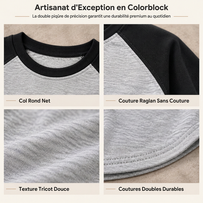 T-shirt décontracté à manches longues et col rond pour femme, haut à pull-over avec blocs de couleurs